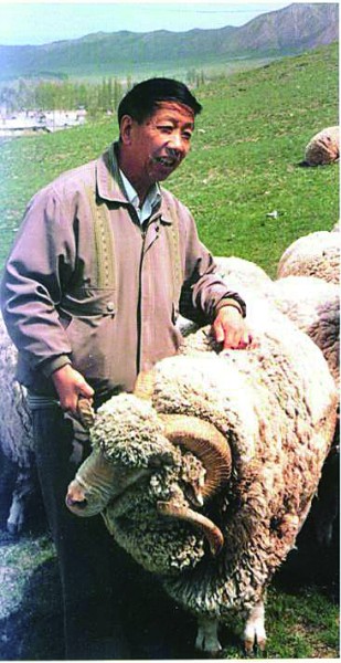 1988年6月，刘守仁在紫泥泉种羊场向外国专家介绍中国美利奴羊新品种。新疆农垦科学院供图.jpg