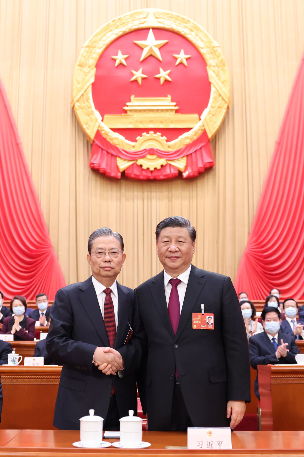 十四届全国人大一次会议选举产生新一届国家领导人 习近平全票当选国家主席中央军委主席