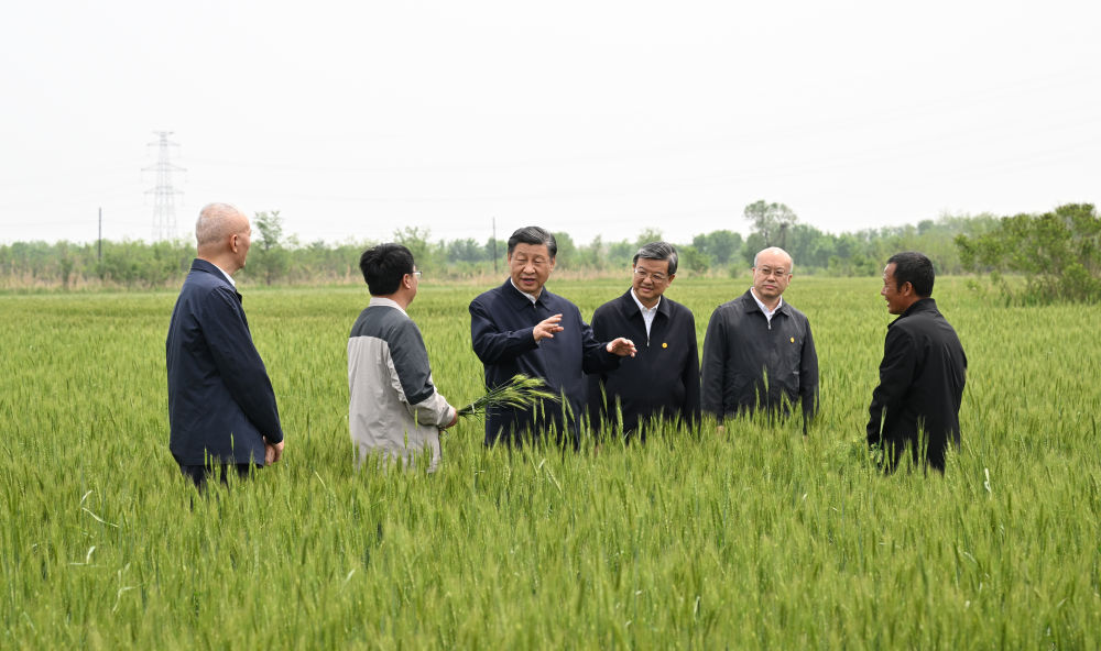 习近平在河北考察并主持召开深入推进京津冀协同发展座谈会