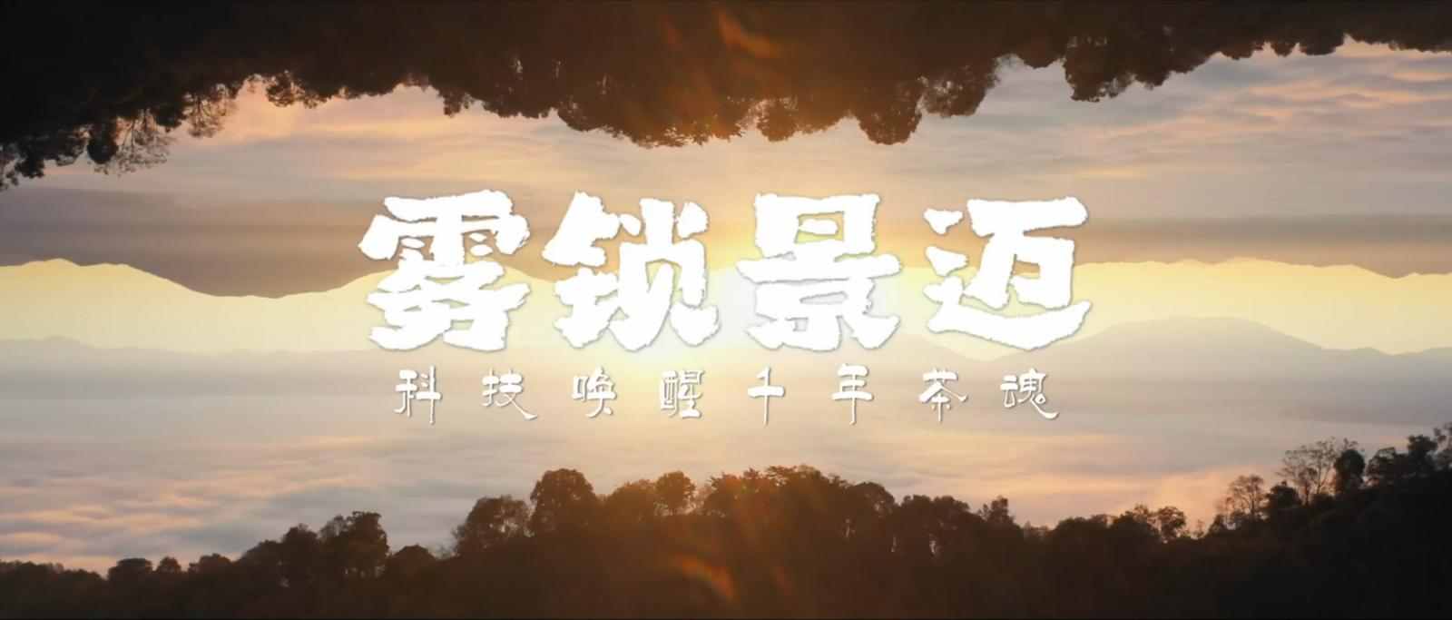 雾锁景迈--科技唤醒千年茶魂