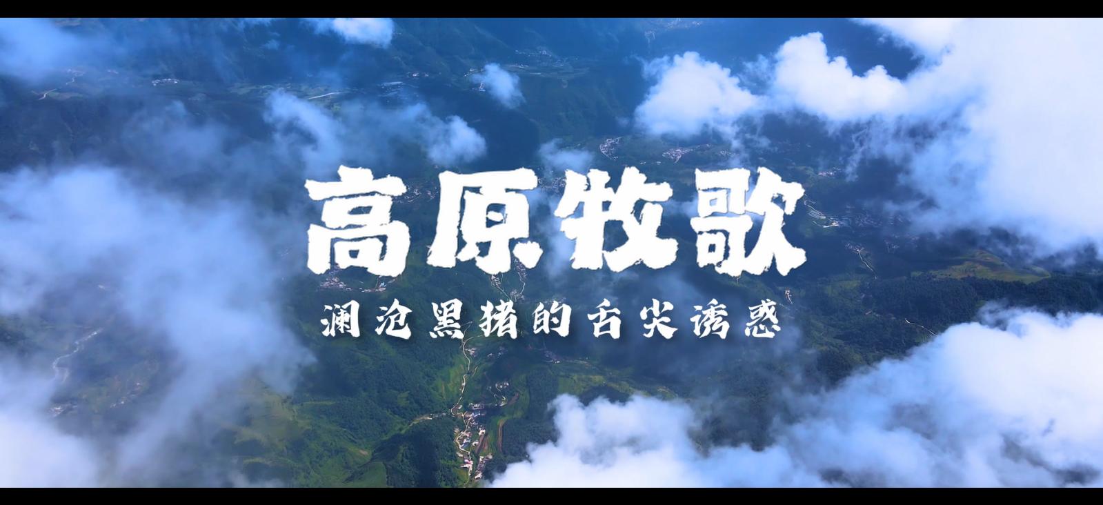 高原牧歌--澜沧黑猪的舌尖诱惑